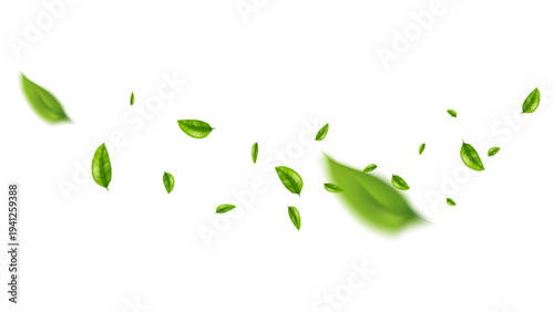 green leaf flying vector background