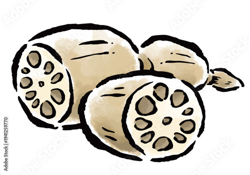 蓮根　筆タッチ手描きイラスト