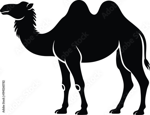 Simple black silhouette of a camel standing on a white background with its head turned to the left