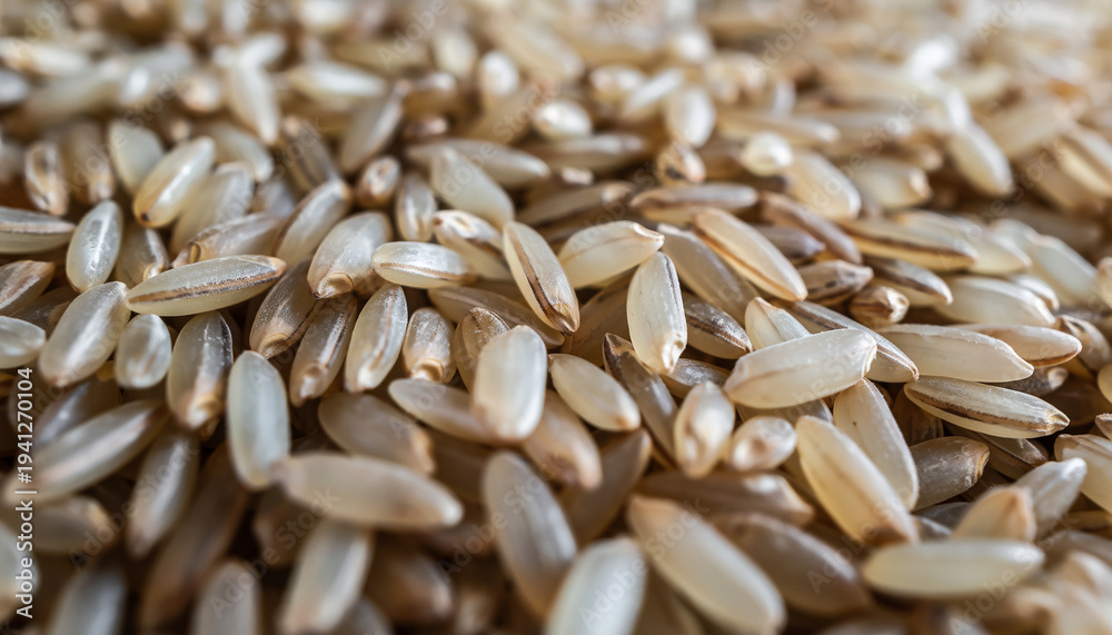 Obraz premium Close-up of scattered sunflower seeds with shells.