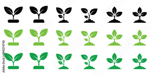 Variety of plant growth stages illustrated in gradient
