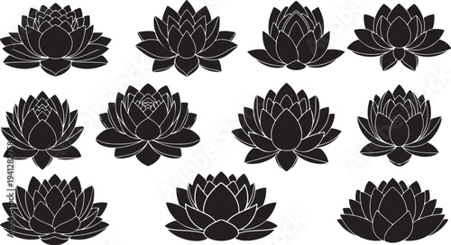 Black lotus flowers on white background in repeating pattern