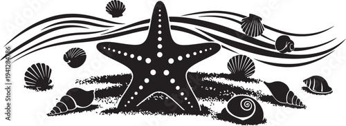 Black and white starfish with seashells ocean illustration art