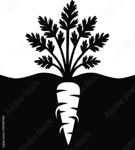 Carrot growing in soil with green leaves