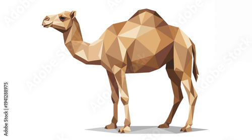 Geometric Camel Illustration