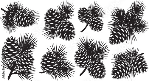 Collection of pine cones in black and white illustration