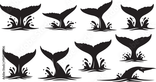 Whale Tails Silhouettes in Water Splashes Black and White