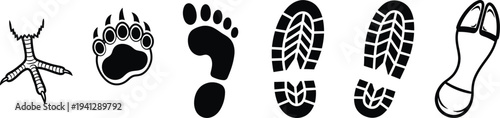 Footprints and paw prints in various styles and species