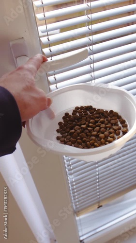 Giving a stray cat outside dry food on a plate