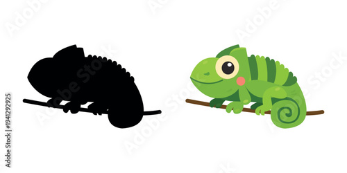 Cute chameleon cartoon on branch with shadow silhouette for kids educational game