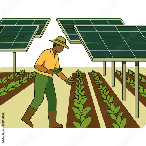 Man tending plants under solar panels in a farm field with rows