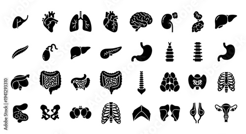 A comprehensive abstract vector illustration of human internal organs with a modern digital art aesthetic on a colorful background