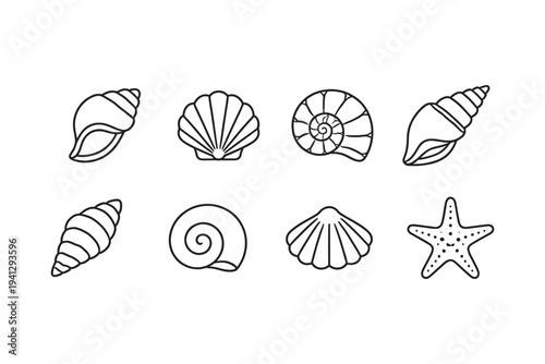 Collection of simple line art icons representing various seashells and a starfish