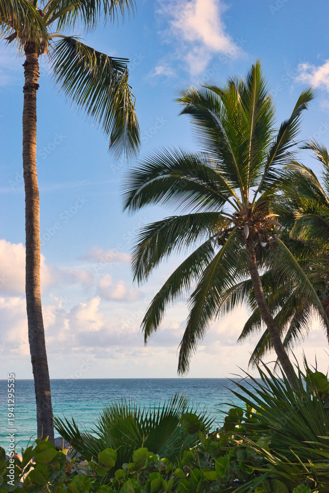 Obraz premium Varadero, Cuba; 04.07.2023. Beautiful, colourful sunset on the beach in Varadero, Cuba! Cote d'Azur of the Atlantic Ocean, next to the Caribbean Sea. Cuba wild palm beach background. Nature blue sea l