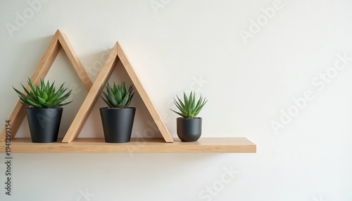 Three potted succulents rest on a wooden shelf. The triangular wooden frames create a modern, minimalist display against a plain wall. The plants are small and varied.