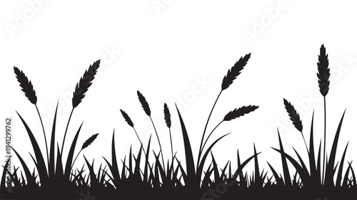 Silhouetted grass and cattails in serene natural ambiance with soft black and white contrast on isolated white background for environmental design