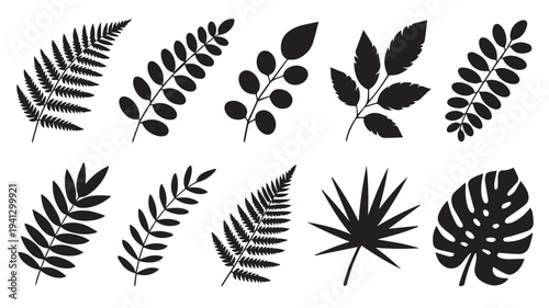 Tropical Leaves Silhouettes in Modern Minimalist Style with Deep Black Color on White Background for Graphic Design