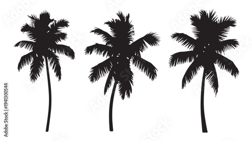 Palm Trees Silhouette in Tropical Landscape with Dramatic Lighting on White Background for Travel Brochure