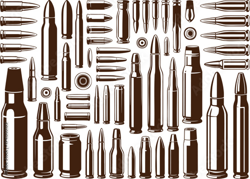 Variety of cartridge cases and bullets in different sizes and calibers arranged