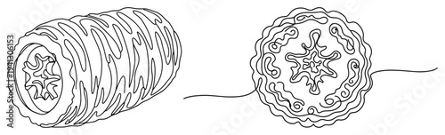 Continuous one line drawing of a natural loofah sponge for body care and exfoliation