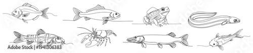 Collection of various fish and aquatic animals in minimalist continuous line art style