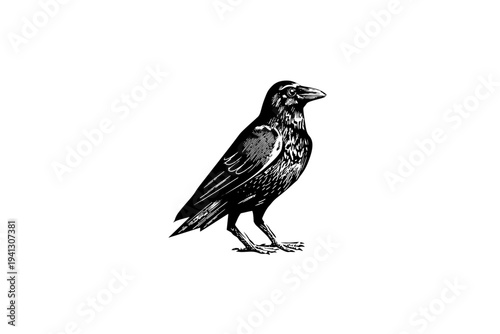 Crow Vintage Camping Illustration, Rustic Outdoor Heritage Vector, Engraving Style, Retro Americana Aesthetic, Black and White Linocut Graphic for Branding and Apparel Design