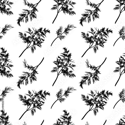 Dill plant. Monochrome botanical seamless pattern drawing of fragrant herbs and spices. Graphic ink vector. Good for decoration of cooking, menu, decor, stickers, tea, kitchens