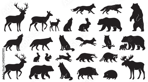 Wild Animals Silhouettes Collection in Simple Black Style on White Background for Graphic Design
