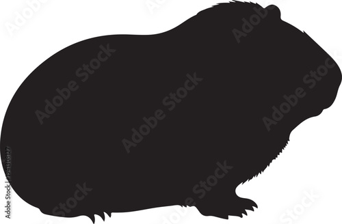 Silhouette of a guinea pig on a white background