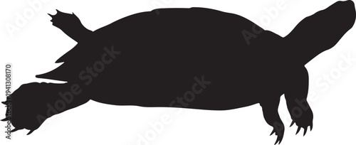 Silhouette of a turtle swimming in water