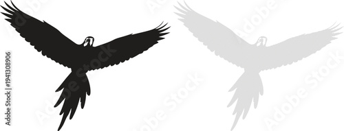 Silhouette of a bird in flight with outstretched wings