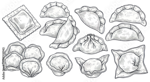 Hand-drawn Collection of Various Dumplings and Ravioli