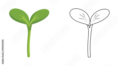Illustration of two sprout seedlings, one green and one outlined in black, against a clean white background.