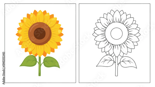 Colorful illustration of a sunflower with line art version side by side on white background.