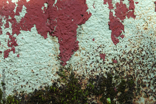 Canvas Print Peinture ancienne verte et rouge écaillée avec couches superposées