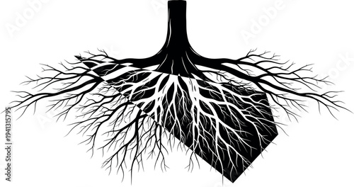 Tree roots underground silhouette with soil cross section, detailed root system illustration, botanical plant structure, nature ecology growth conceptTree roots underground silhouette