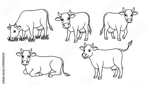 Farm cow poses black and white vector illustration set cattle line art collection isolated on white