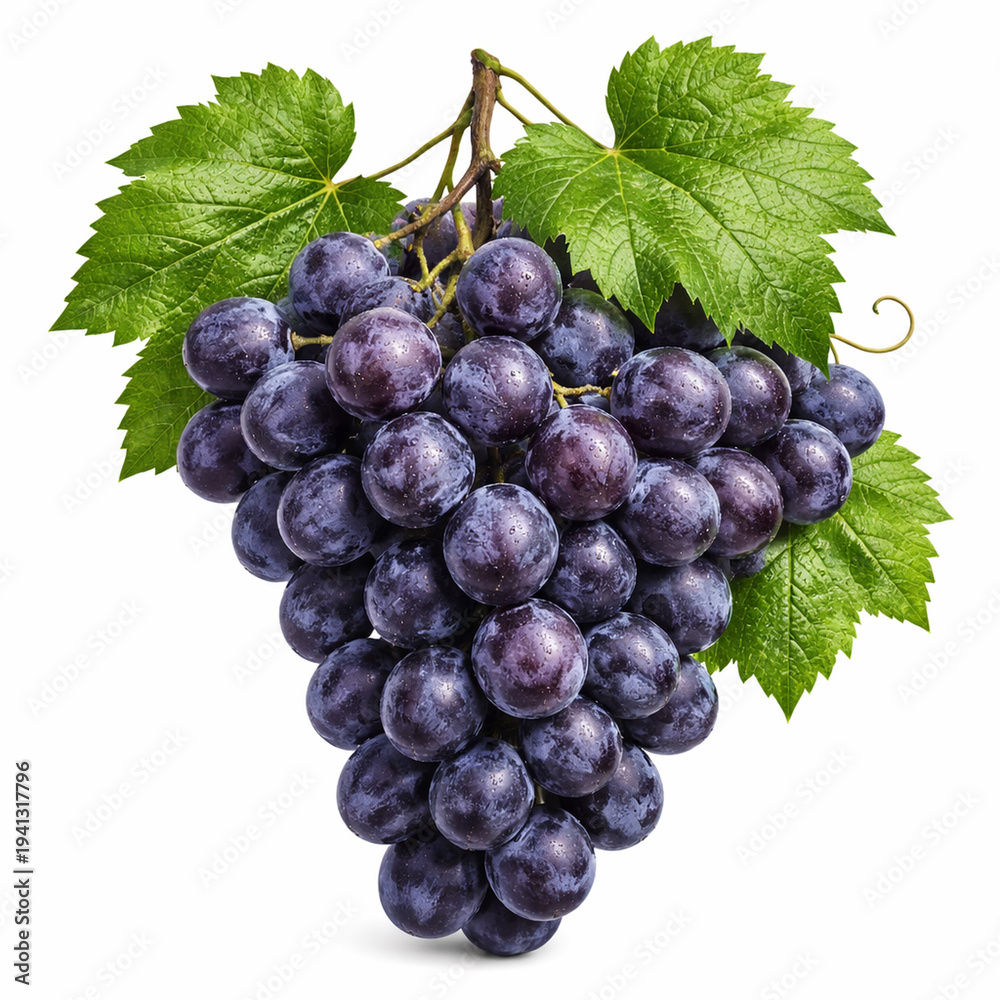 Fototapeta premium Black Grapes Cluster with Green Vine Leaves Isolated