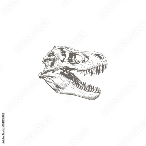 dinosaur bone drawing artwork handmade illustration