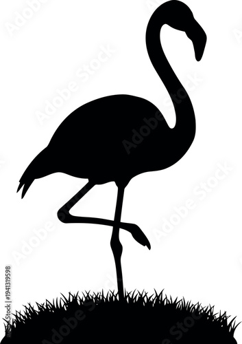 Elegant Flamingo Silhouette Standing on Grass Vector Isolated on White Background