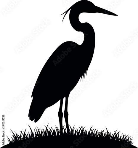 Great Blue Heron Silhouette Standing on Grass Vector Isolated on White Background
