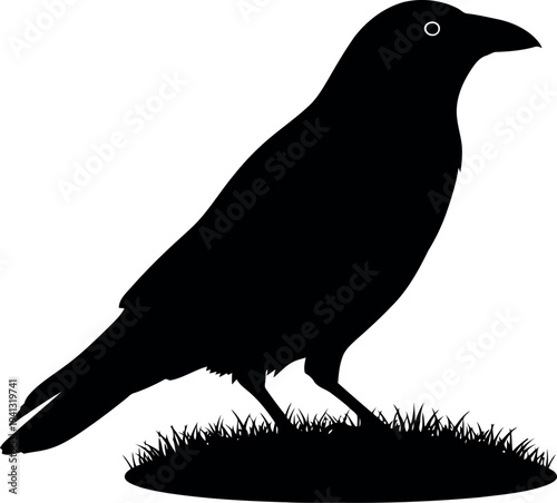 Black Raven Silhouette Vector Isolated on Grass, Bird Illustration for Halloween and Nature Designs