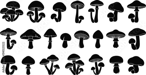 PrintBlack vector silhouettes of various wild mushrooms and fungi isolated on white background.