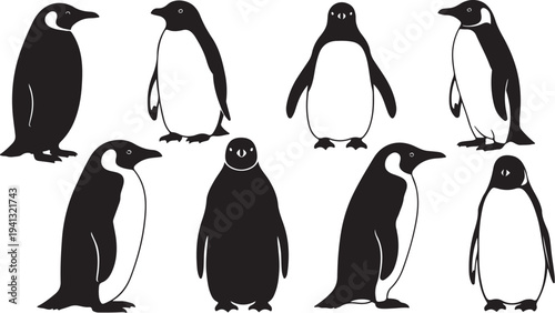 Vector illustration of penguins in various poses and stances