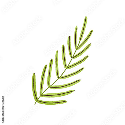 Leaf branch. Green plant. Fresh leaves, sprig, abstract greenery twig. Delica...