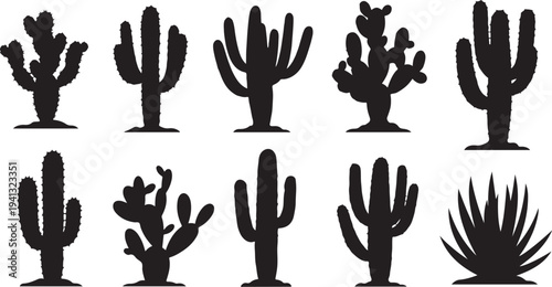 Set of various cactus silhouettes on white background illustration