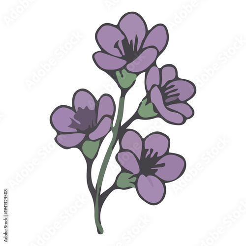 Purple Flower Illustration