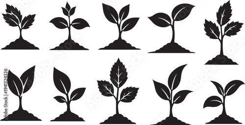 Set of black silhouettes of growing plants and seedlings