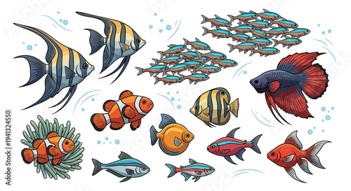 Colorful fish marine life illustration.