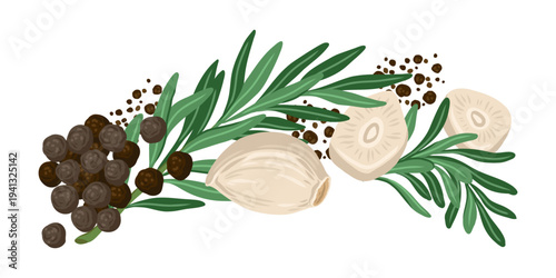 Rosemary leaf and garlic clove horizontal composition vector food illustration. Hand drawn arrangement with black pepper. Fresh organic ingredient for menu design. Perfect for culinary packaging.